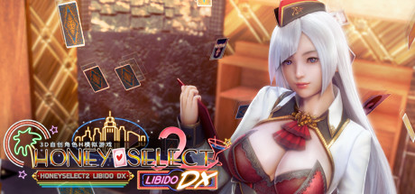 甜心选择2 Libido DX 游戏封面
